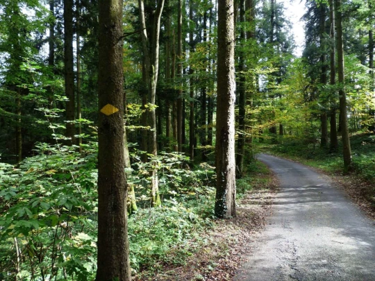 palezieux-chatel-st-denis-152