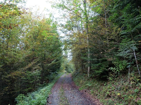 palezieux-chatel-st-denis-157