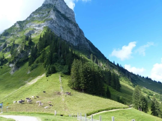 plan-francey-chatel-st-denis-116