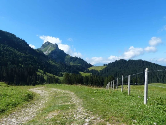 plan-francey-chatel-st-denis-127