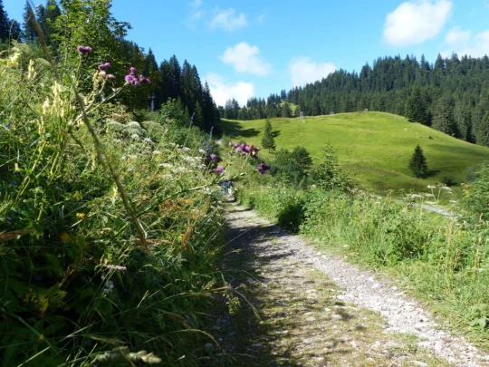 plan-francey-chatel-st-denis-129