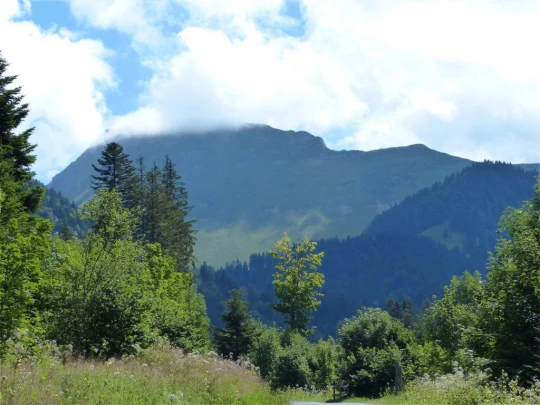 plan-francey-chatel-st-denis-144