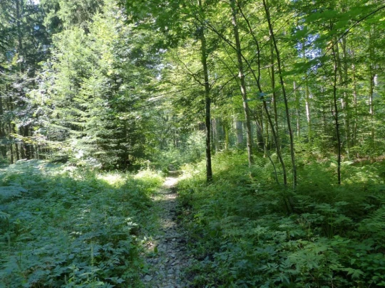 plan-francey-chatel-st-denis-148