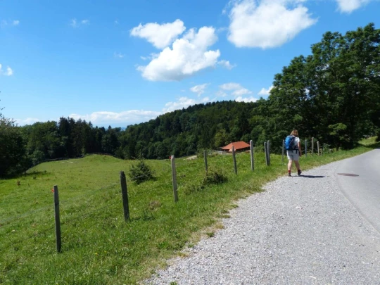 plan-francey-chatel-st-denis-152