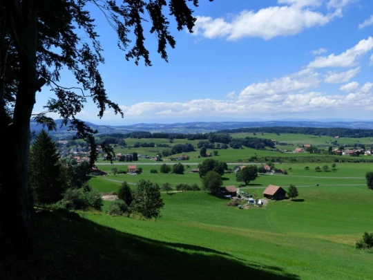 plan-francey-chatel-st-denis-154