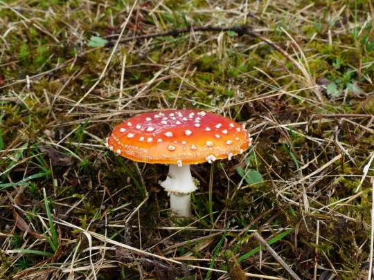 pra-la-tete-epalinges-119