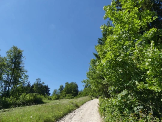 pres-d-orvin-bellevue-preles-101