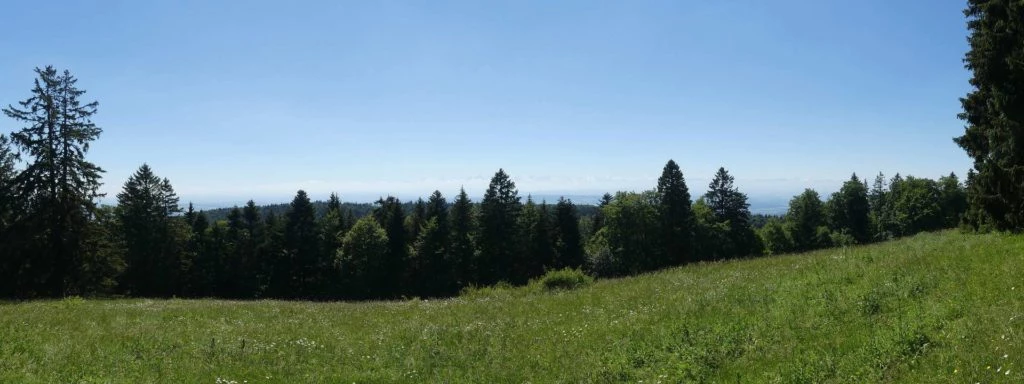 pres-d-orvin-bellevue-preles-111