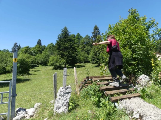 pres-d-orvin-bellevue-preles-120