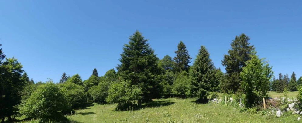 pres-d-orvin-bellevue-preles-121