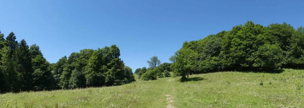 pres-d-orvin-bellevue-preles-123