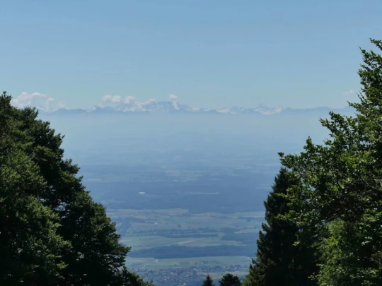 pres-d-orvin-bellevue-preles-124