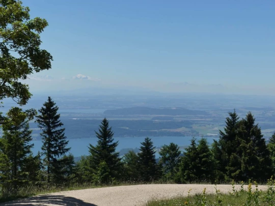 pres-d-orvin-bellevue-preles-131