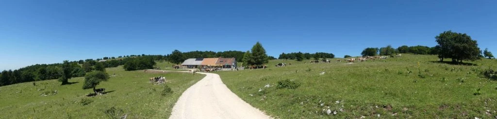 pres-d-orvin-bellevue-preles-133