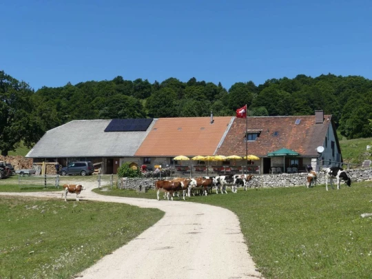 pres-d-orvin-bellevue-preles-134