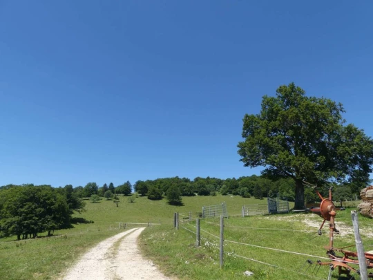 pres-d-orvin-bellevue-preles-139