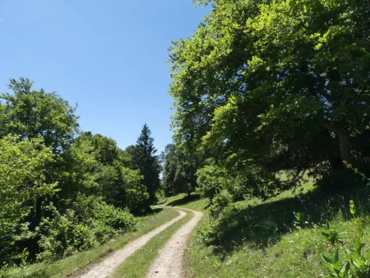 pres-d-orvin-bellevue-preles-146