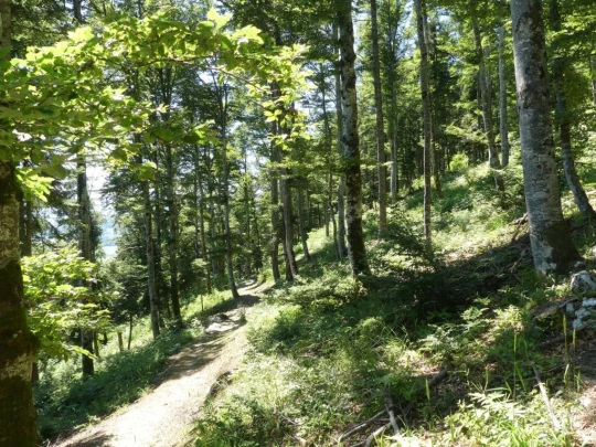 pres-d-orvin-bellevue-preles-160