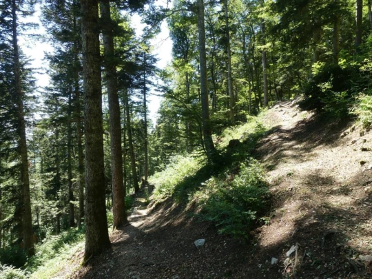 pres-d-orvin-bellevue-preles-165