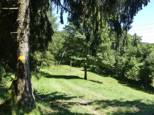 pres-d-orvin-bellevue-preles-207