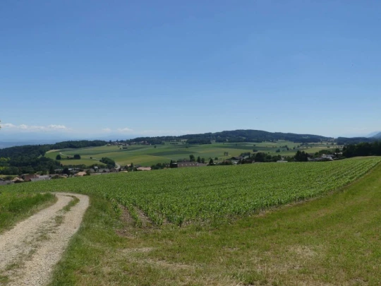 pres-d-orvin-bellevue-preles-209