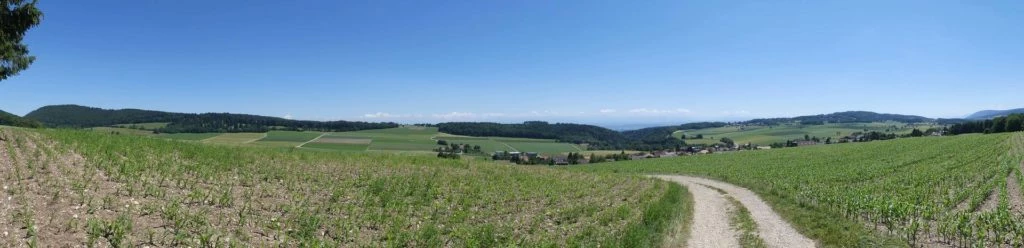 pres-d-orvin-bellevue-preles-210