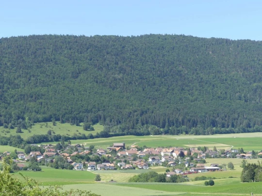 pres-d-orvin-bellevue-preles-230