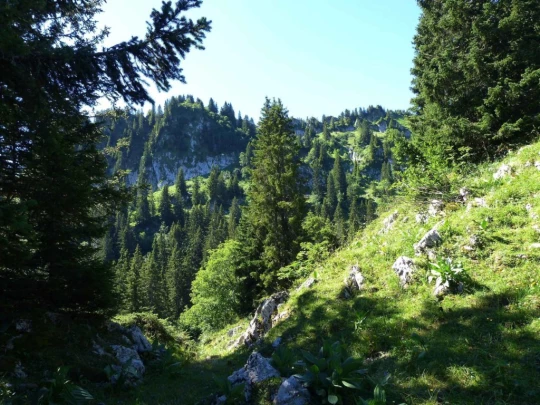 rochers-de-naye-montbovon-127