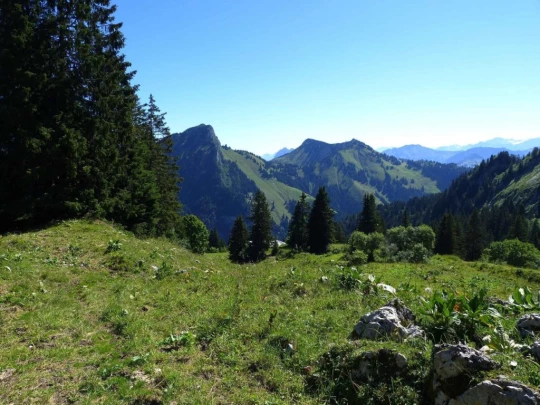 rochers-de-naye-montbovon-128