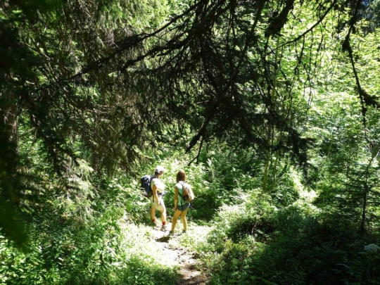 rochers-de-naye-montbovon-132