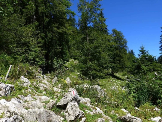 rochers-de-naye-montbovon-135