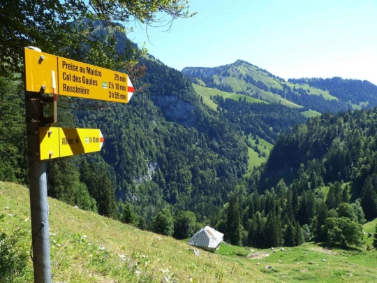 rochers-de-naye-montbovon-140