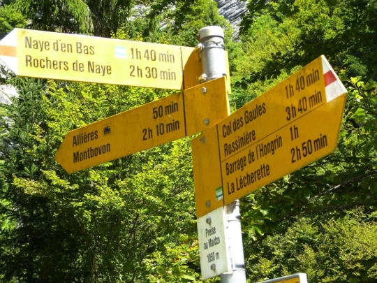 rochers-de-naye-montbovon-143