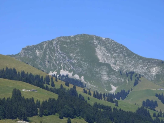 rochers-de-naye-montbovon-148