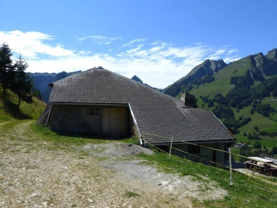 rochers-de-naye-montbovon-155