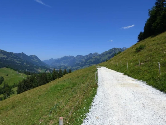 rochers-de-naye-montbovon-156