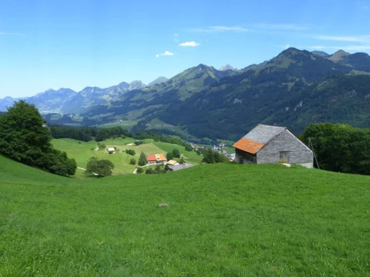 rochers-de-naye-montbovon-166