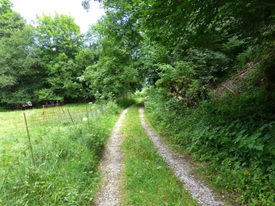 rochers-de-naye-montbovon-171