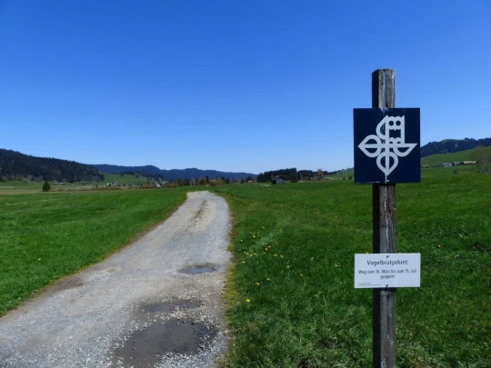 rothenthurm-biberbrugg-135