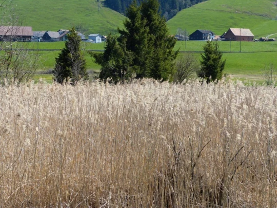 rothenthurm-biberbrugg-140