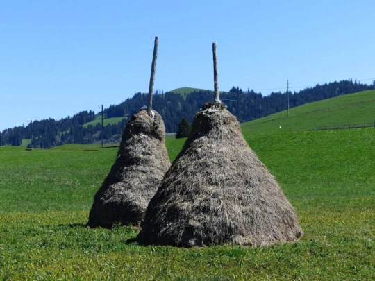 rothenthurm-biberbrugg-147