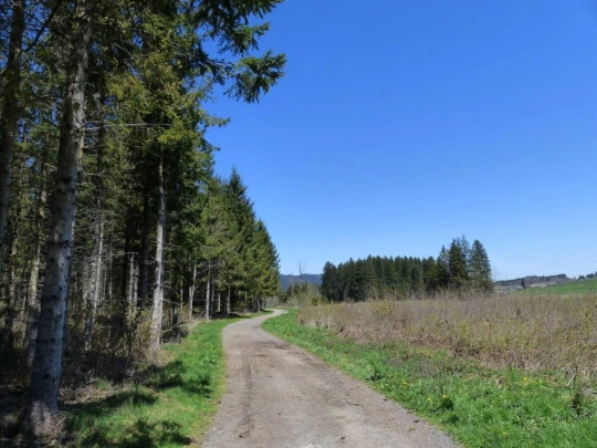 rothenthurm-biberbrugg-149