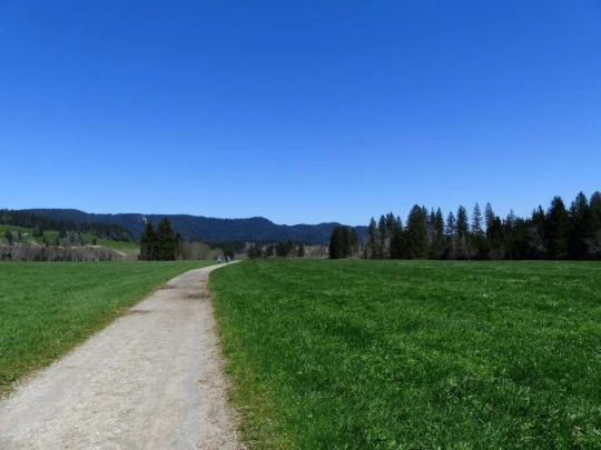 rothenthurm-biberbrugg-151