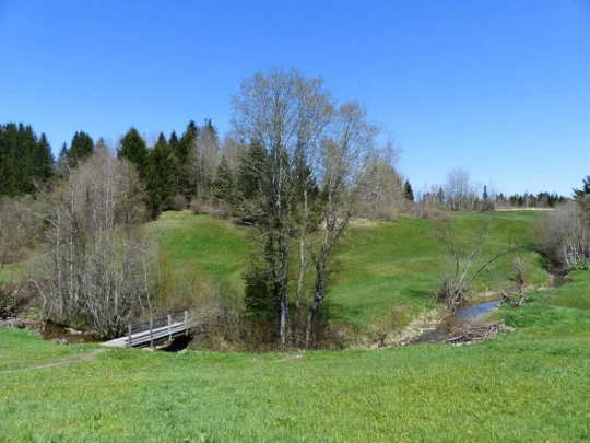 rothenthurm-biberbrugg-164