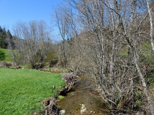 rothenthurm-biberbrugg-166