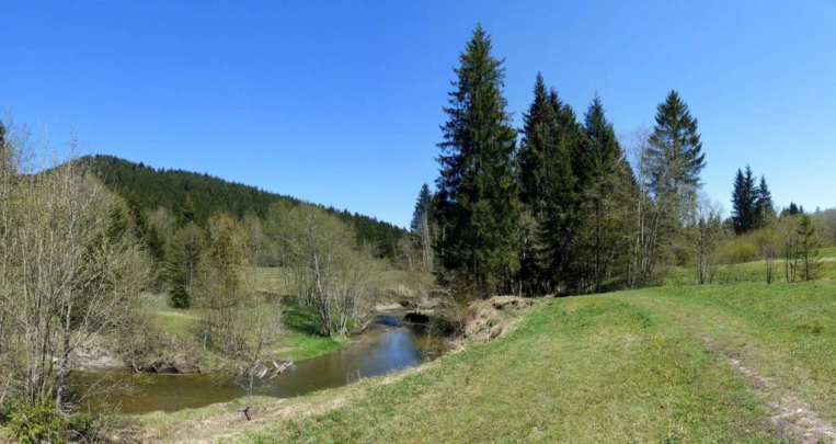 rothenthurm-biberbrugg-189