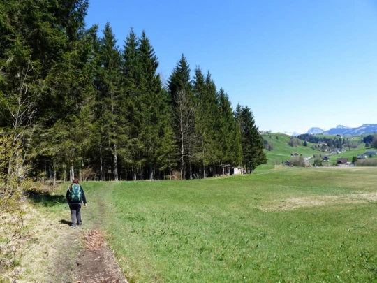 rothenthurm-biberbrugg-199