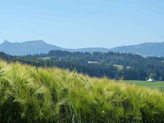 rueeggisberg-schwarzenburg-122