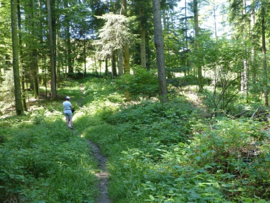 rueeggisberg-schwarzenburg-132