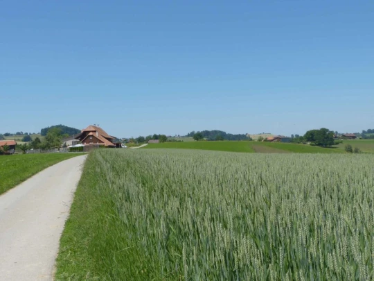 rueeggisberg-schwarzenburg-135